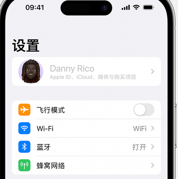 丘北appleID维修服务iPhone设置中Apple ID显示为灰色无法使用 