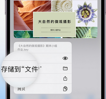 丘北apple维修中心分享iPhone文件应用中存储和找到下载文件