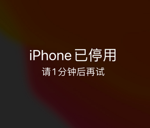 丘北苹果手机维修分享:iPhone 显示“不可用”或“已停用”怎么办？还能保留数据吗？ 