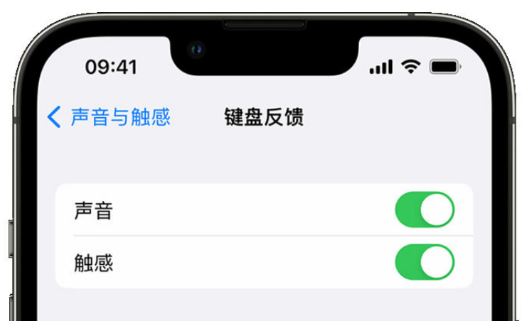 丘北苹果手机维修分享iPhone 14触感键盘使用方法 