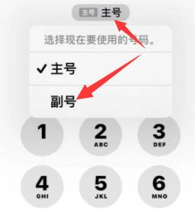 丘北苹果14维修店分享iPhone 14 Pro Max使用副卡打电话的方法 