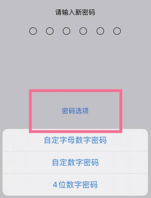 丘北苹果14维修分享iPhone 14plus设置密码的方法 