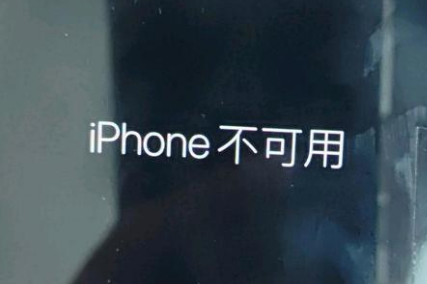 丘北苹果服务网点分享锁屏界面显示“iPhone 不可用”如何解决 