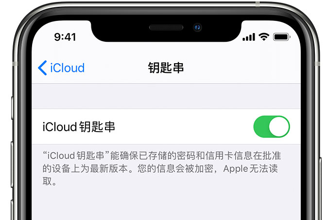 丘北苹果手机维修分享在 iPhone 上开启 iCloud 钥匙串之后会储存哪些信息 