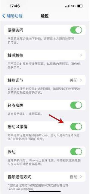 丘北苹果手机维修分享iPhone手机如何设置摇一摇删除文字 